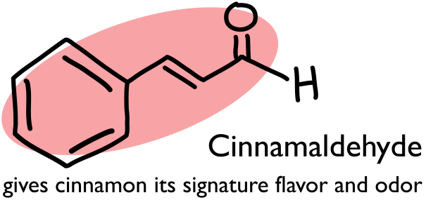 cinnamaldehyde-04