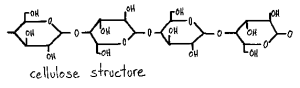 cellulosestructure